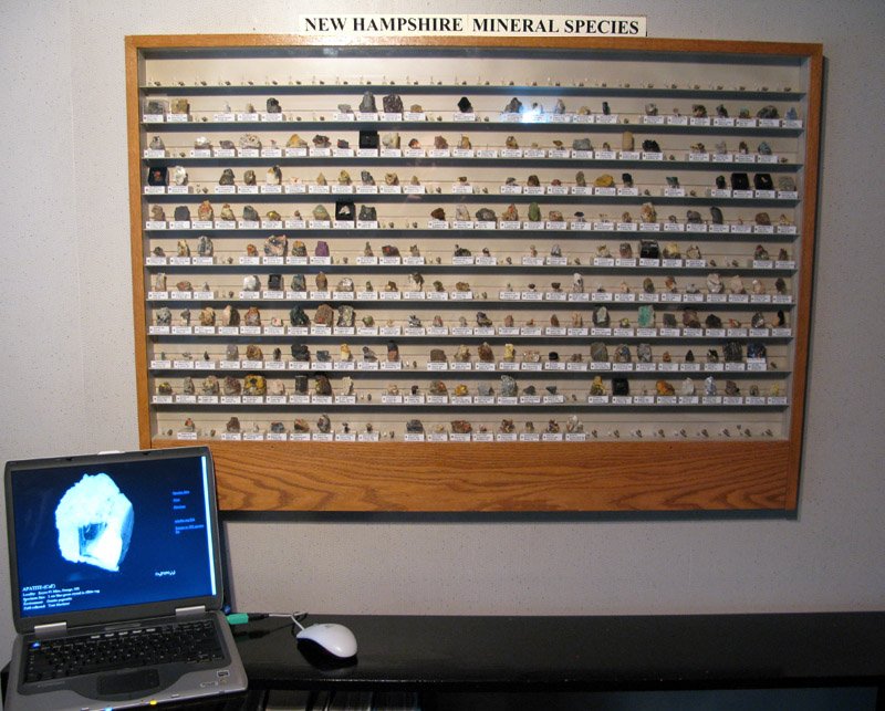 Display Case photo